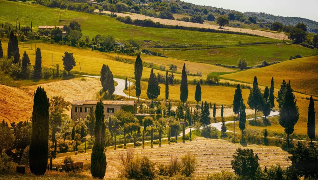 A golden hillside in Tuscany